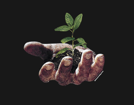 手指图案人物手掌托起植物的手男装印花素材男装烫画图案