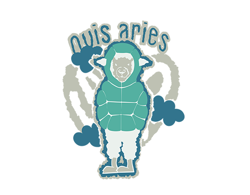 卡通羊手绘山羊图案男装卡通动物印花素材T恤卫衣印花素材