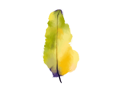 卡通植物图案卡通树叶男装印花图案水彩树叶T恤卫衣图案