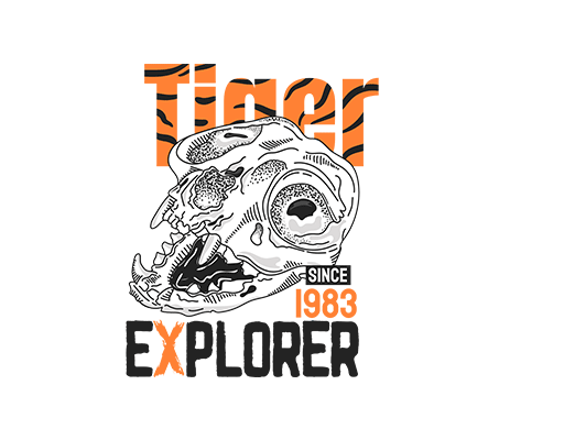 卡通动物骷髅头卡通英文字母手绘骷髅头图案数字字母印花图案