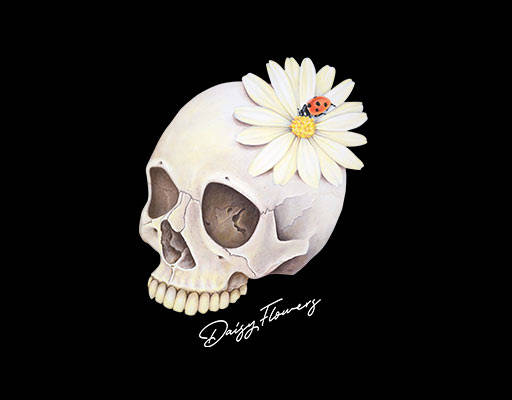 骷颅头印花图案鲜花图案菊花图案手写英文字母