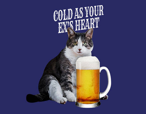 卡通猫咪啤酒猫照片可爱动物图案