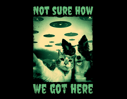 卡通动物头像卡通小狗头像破碎英文字母小猫小狗照片