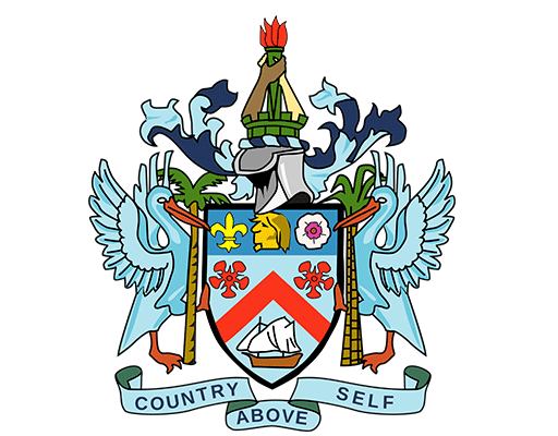 卡通鸟图案徽章图案卡通动物徽章