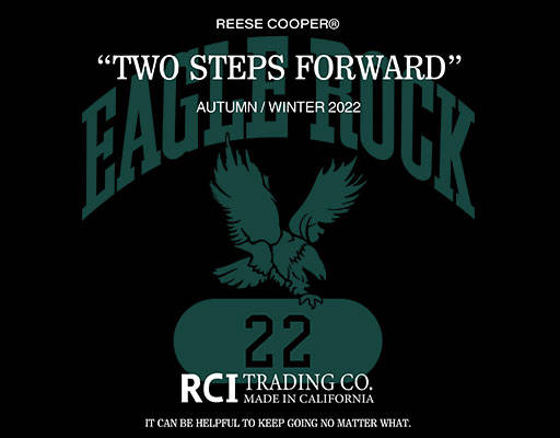 卡通老鹰图案变形英文字母老鹰剪影