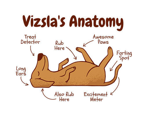 卡通小狗图案手绘狗简笔卡通动物手写英文字母图案