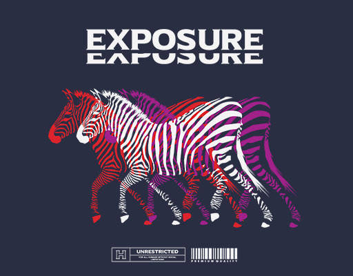 卡通斑马图案斑马剪影彩色马简约英文字母图案