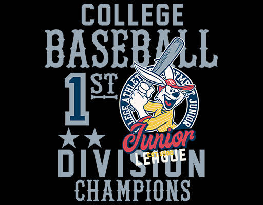 卡通兔子图案棒球兔子手绘卡通动物运动兔子图案