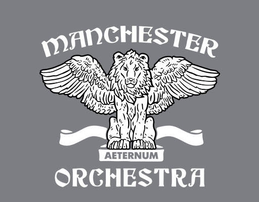 卡通狮子图案翅膀狮子手绘卡通动物英文字母图案