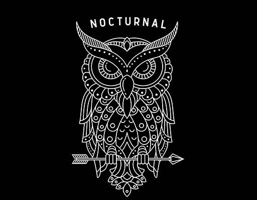 卡通啄木鸟卡通猫头鹰图案手绘卡通动物手绘鸟猫头鹰