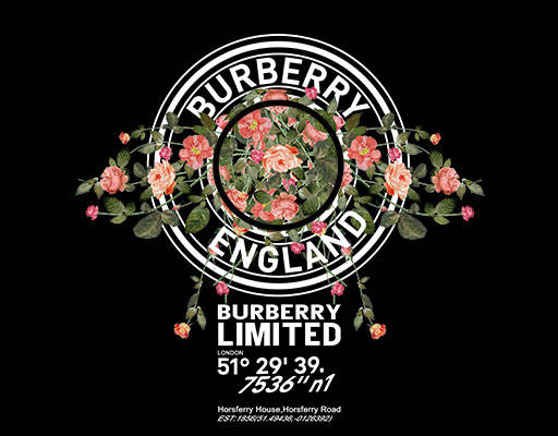 巴宝莉花朵图案手绘玫瑰花朵水果植物图案圆形图案