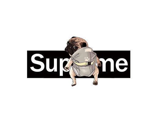 卡通狗图案手绘卡通动物手绘狗superme狗