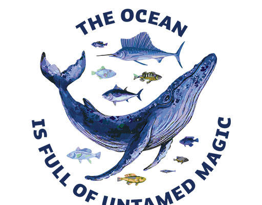 卡通鲸鱼图案手绘卡通动物海洋生物图案金枪鱼