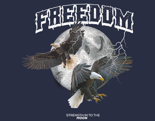 卡通老鹰图案两只老鹰月球闪电英文字母