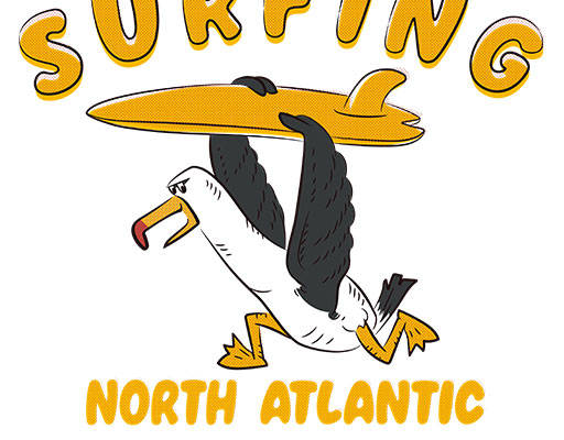 卡通海鸥矢量手绘卡通动物简笔卡通鸟冲浪的鸟矢量手写英文字母矢量