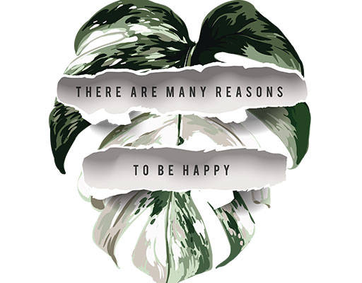 树叶照片图案撕裂照片卡通树叶英文字母矢量