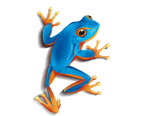 卡通青蛙图案手绘卡通动物3D立体青蛙彩色动物3d青蛙