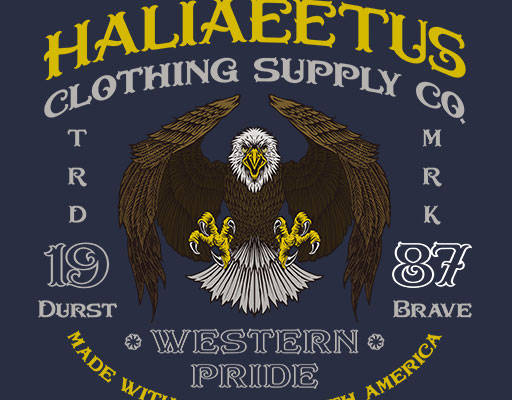 卡通老鹰矢量手绘卡通动物雄鹰鸟矢量英文字母矢量