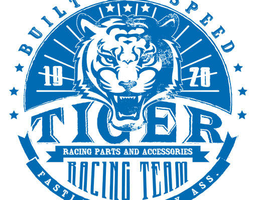 卡通老虎头像手绘卡通动物头像破碎英文字母矢量