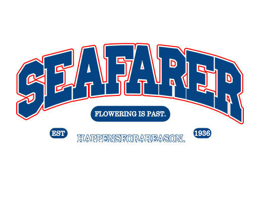 卡通英文字母简约字母男装印花图案数字字母