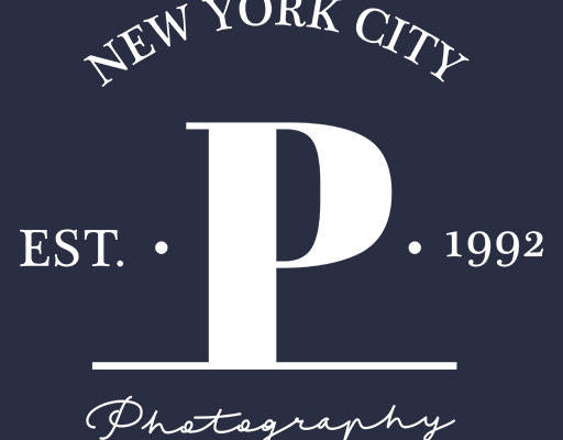 大写英文字母P手写英文字母数字字母