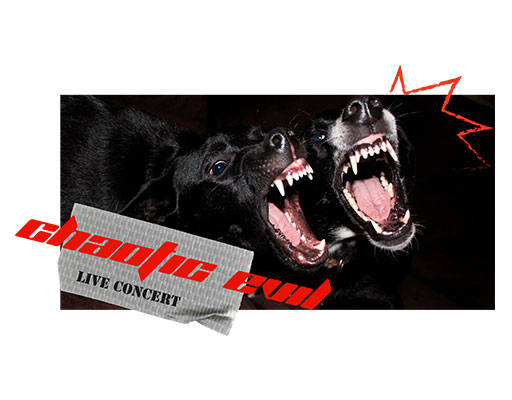 卡通狗图案凶猛动物图案两只狗照片英文字母