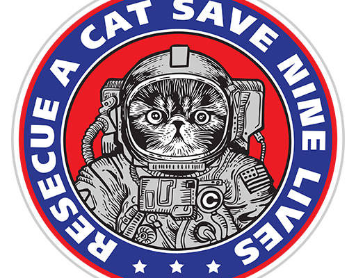 卡通猫咪宇航员猫咪图案手绘卡通动物英文字母矢量圆形矢量