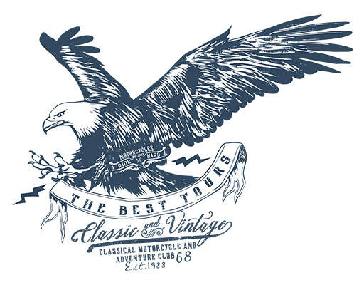 卡通老鹰矢量手绘卡通动物鸟矢量老鹰剪影矢量