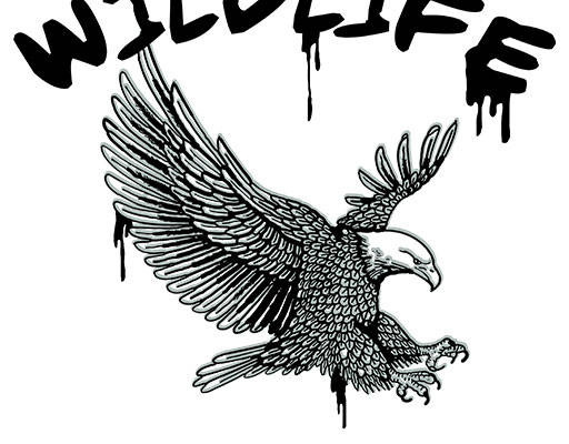 卡通老鹰矢量手绘老鹰小鸟涂鸦英文字母矢量