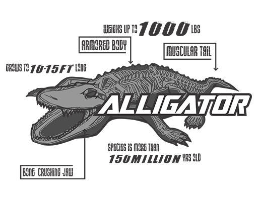 卡通鳄鱼矢量手绘鳄鱼骨头矢量