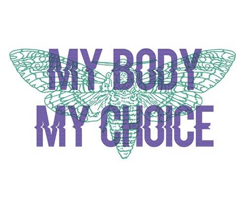 卡通昆虫矢量蝴蝶矢量英文字母矢量