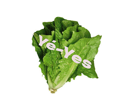 卡通包菜照片逼真蔬菜图案英文字母卡通