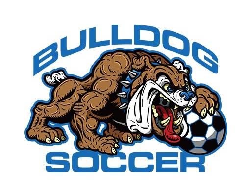 卡通动物矢量斗牛犬矢量足球小狗矢量卡通动物凶猛动物狗