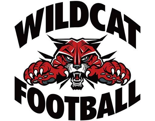 卡通老虎矢量手绘卡通老虎头像英文字母矢量logo标志图案