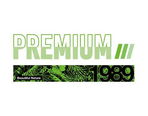 英文字母矢量英文字母线条矢量数字字母树叶