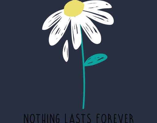 卡通花朵矢量小菊花矢量英文字母矢量