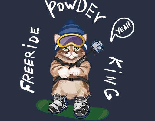 手绘卡通猫咪自拍猫滑雪的猫咪手写英文字母