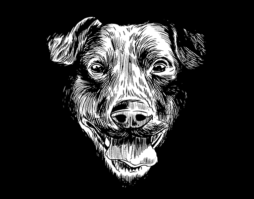 卡通狗图案手绘小狗头像男装印花素材可爱狗印花素材手绘狗