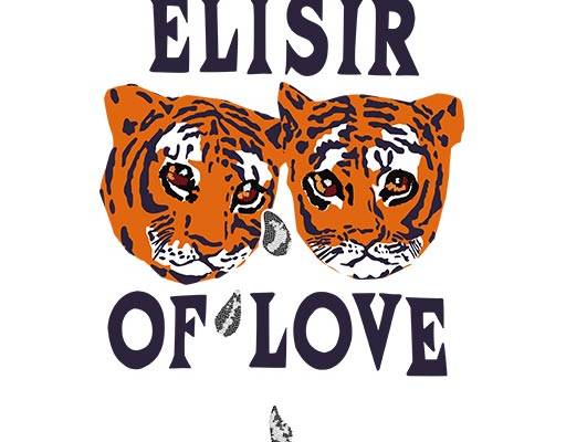 卡通老虎头像两只老虎头像英文字母矢量