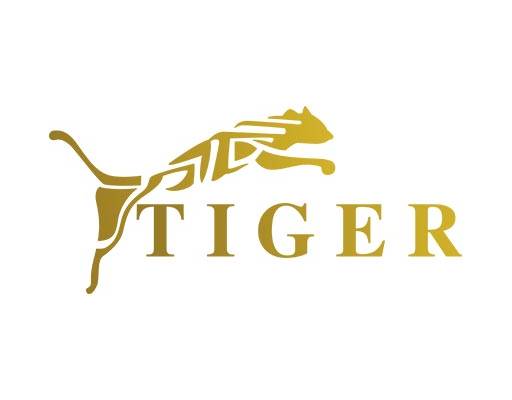 卡通动物矢量豹子矢量英文字母矢量tiger矢量豹子剪影老虎剪影