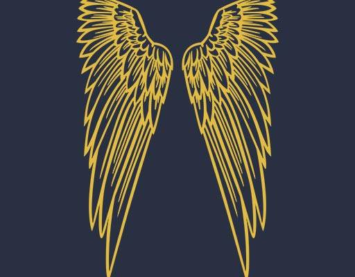 卡通翅膀矢量金色翅膀羽毛矢量