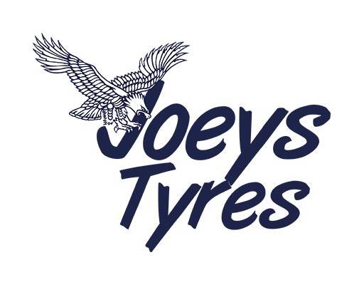 老鹰矢量英文字母矢量飞翔的鹰