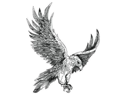 卡通老鹰图案手绘卡通鸟素描老鹰图案卡通动物图案