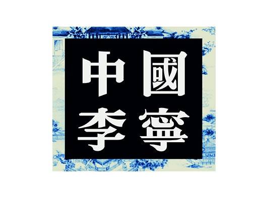 中国李宁文字图案方形图案中文字母图案