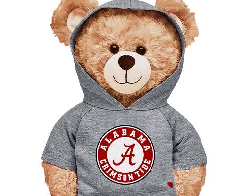 卡通小熊图案毛绒玩具熊穿衣服的小熊公仔图案