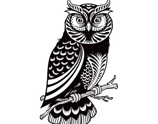 猫头鹰矢量卡通动物矢量可爱小鸟矢量手绘卡通动物
