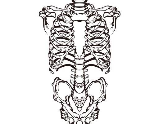 人物骨头矢量骷颅头矢量手绘骷髅矢量人体矢量