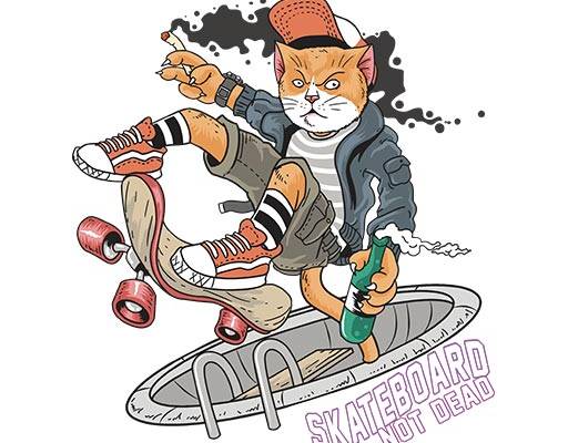 卡通猫咪矢量滑板猫矢量酒瓶矢量运动猫咪矢量可爱卡通动物矢量