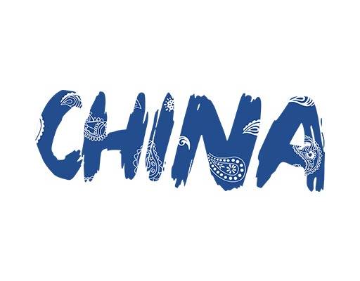 中国英文字母矢量china文字矢量佩斯花纹矢量破碎文字矢量