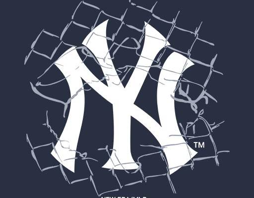 NY英文字母矢量篮球网矢量破碎篮网英文字母矢量